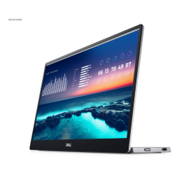 Dell 14" Monitor - C1422H