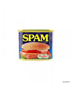 Spam Luncheon Meat | 340g x 1