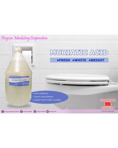 Muriatic Acid | 1 gallon